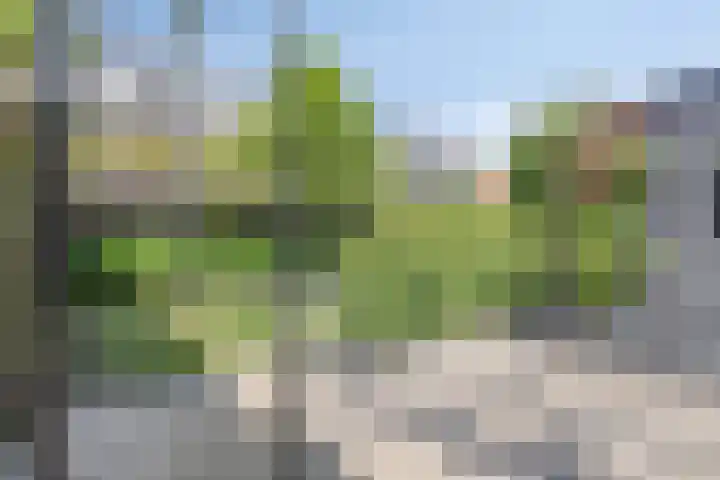 Jan Vermeerstraat 24 Zutphen thumbnail 36