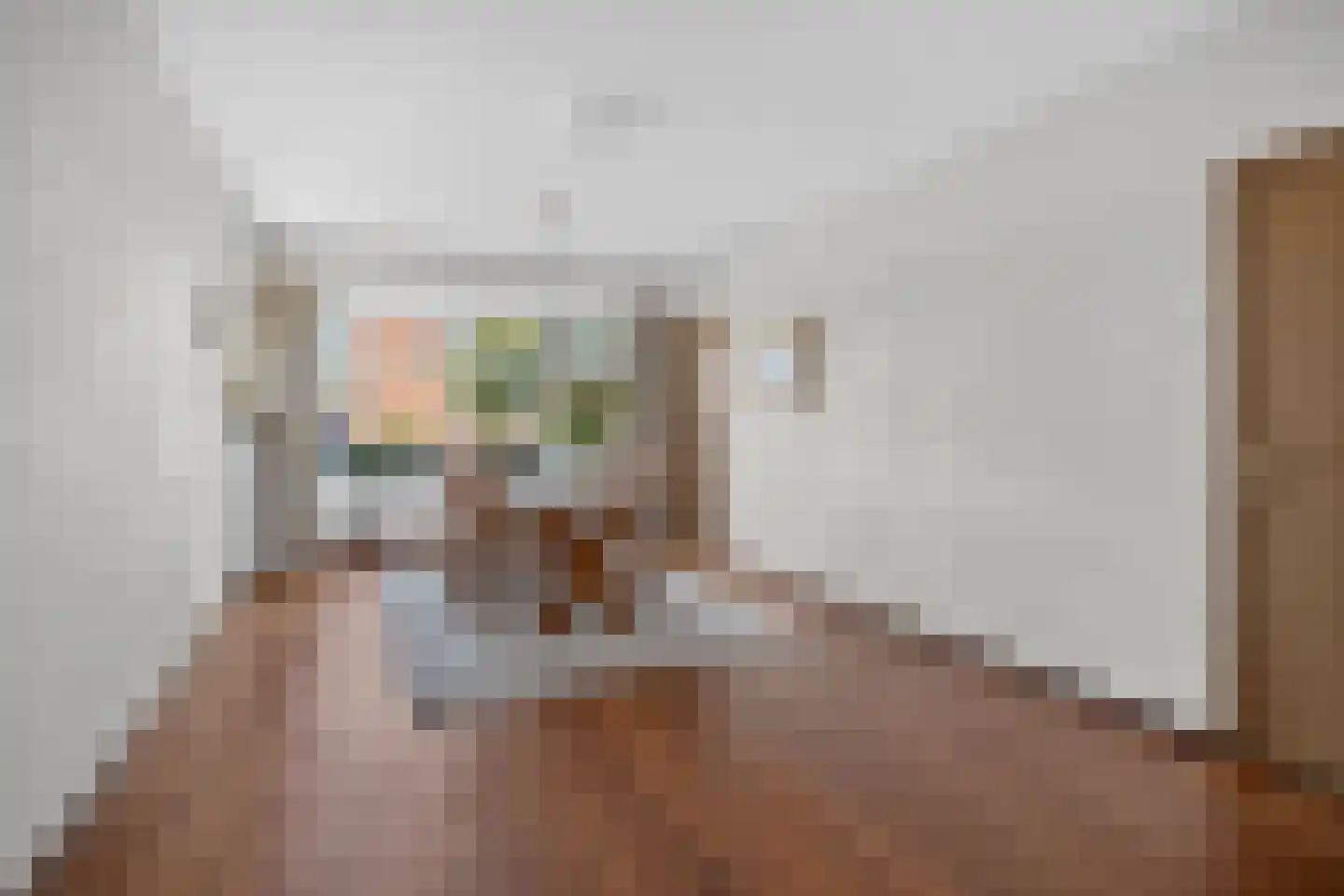 Jan Vermeerstraat 36 Deurne thumbnail 18