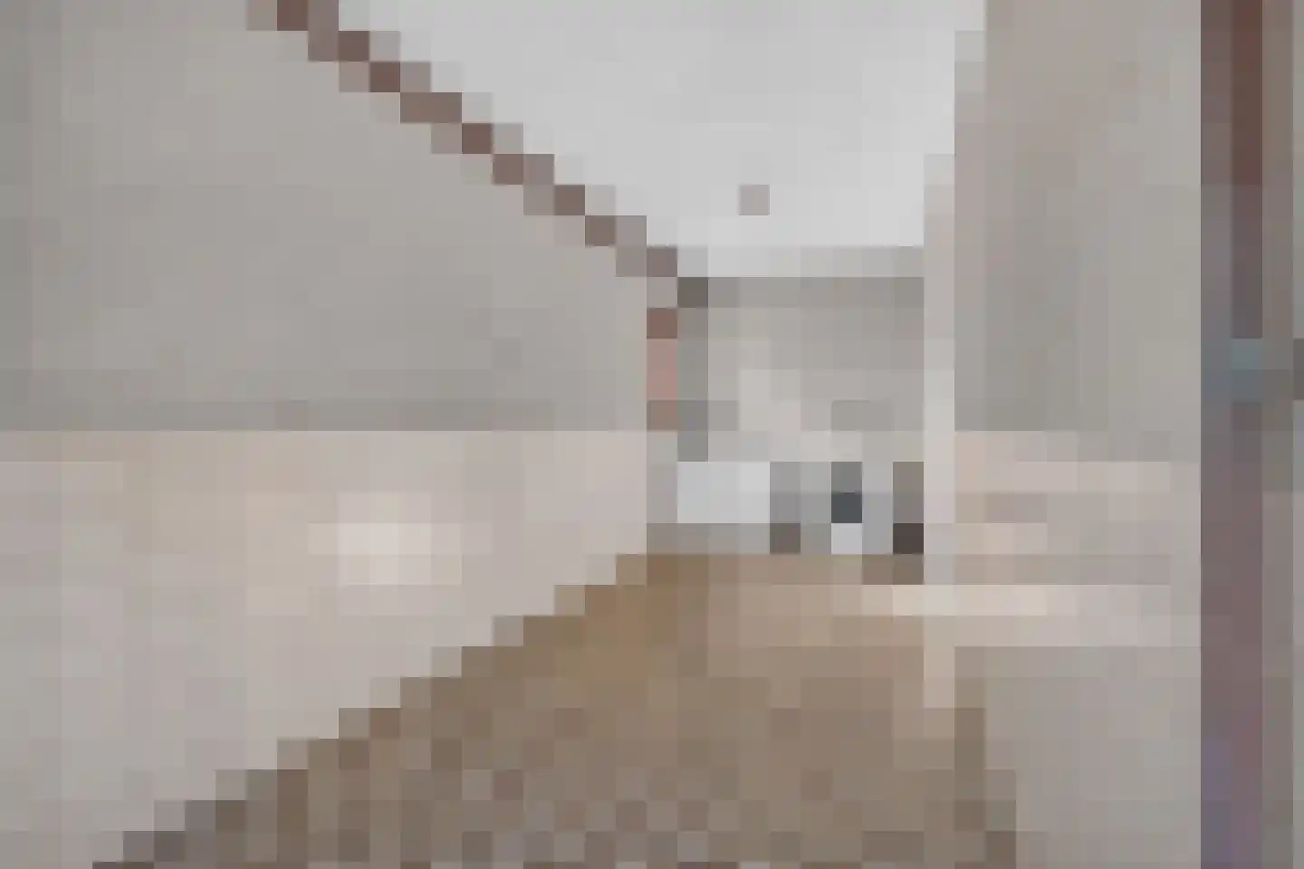 Jan Vermeerstraat 36 Deurne thumbnail 20