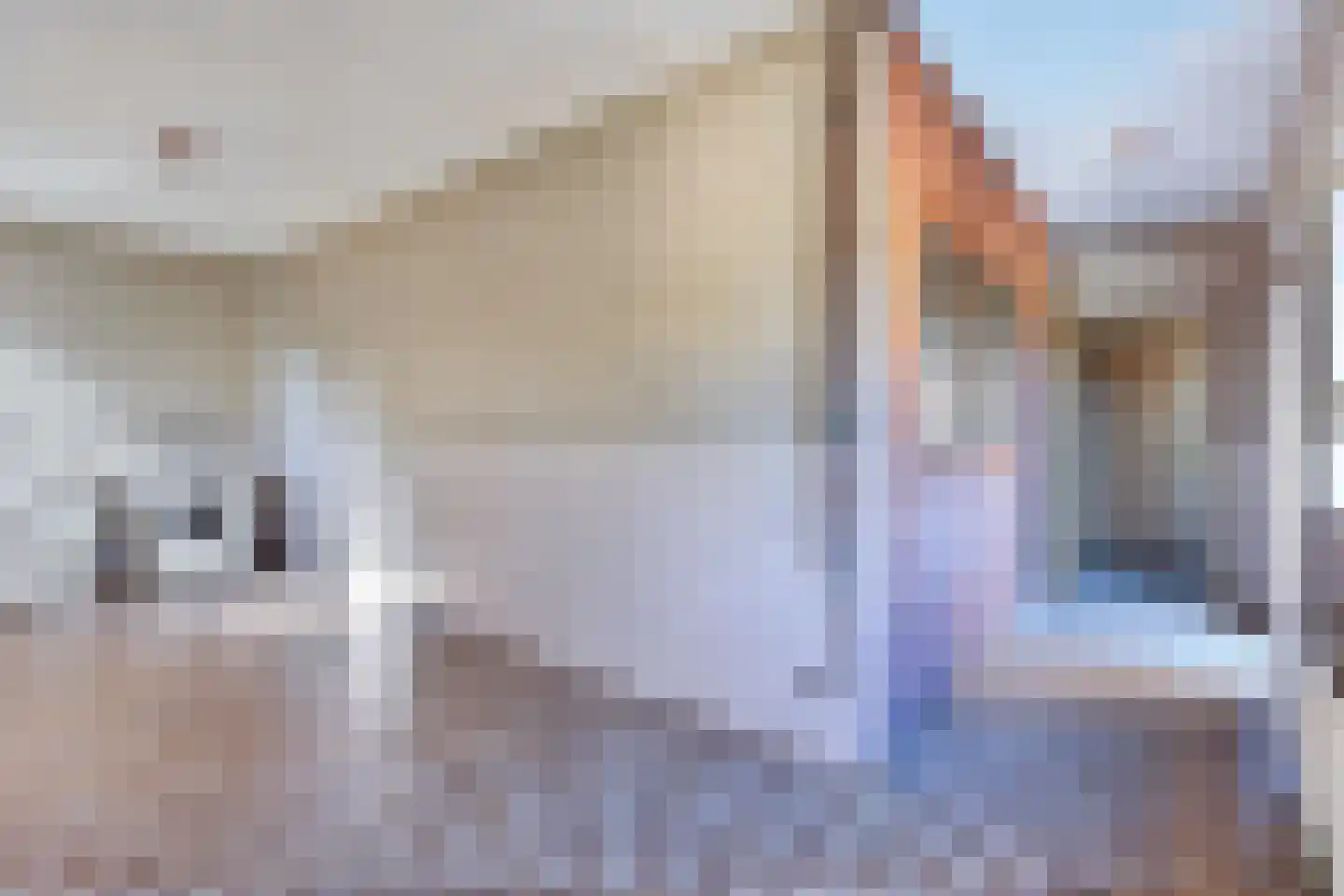 Jan Vermeerstraat 36 Deurne thumbnail 21