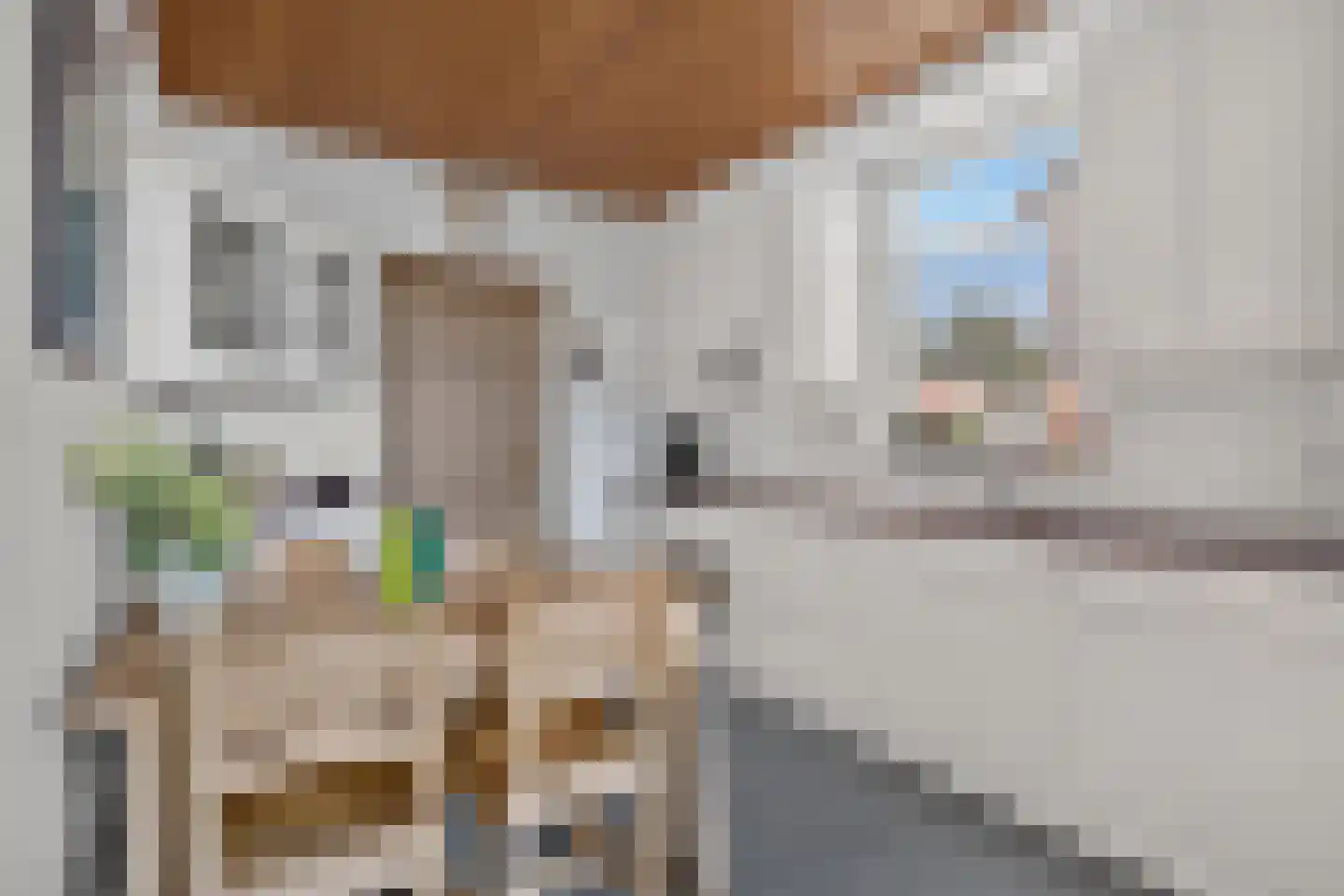Jan Vermeerstraat 36 Deurne thumbnail 4