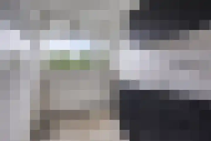 Jan Vermeerstraat 363 Venlo thumbnail 14
