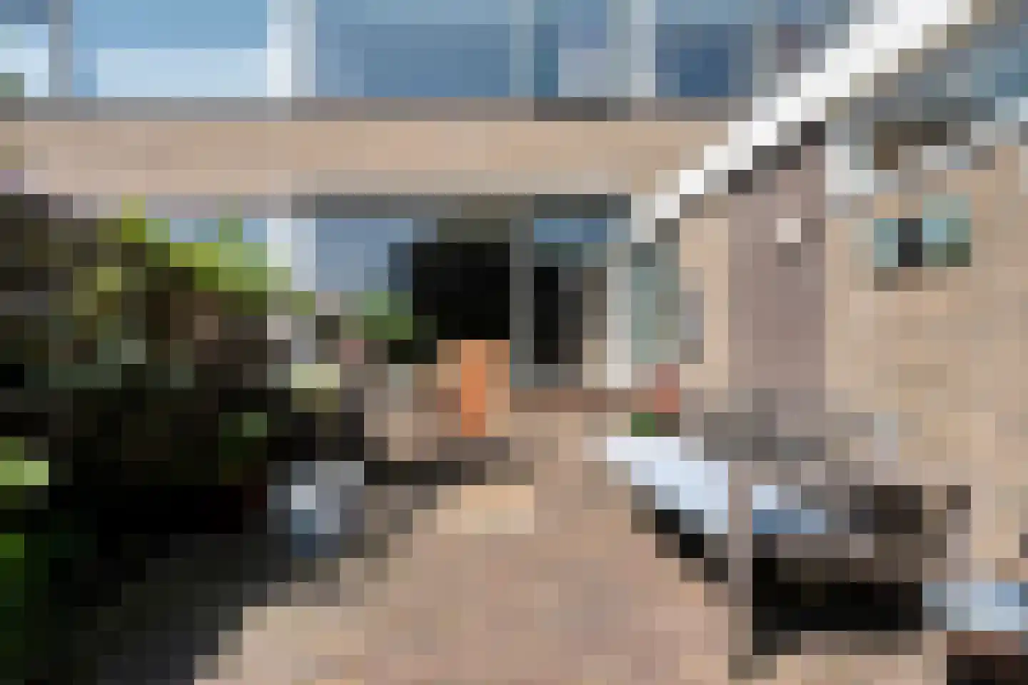 Jan Vermeerstraat 45 Meppel thumbnail 35