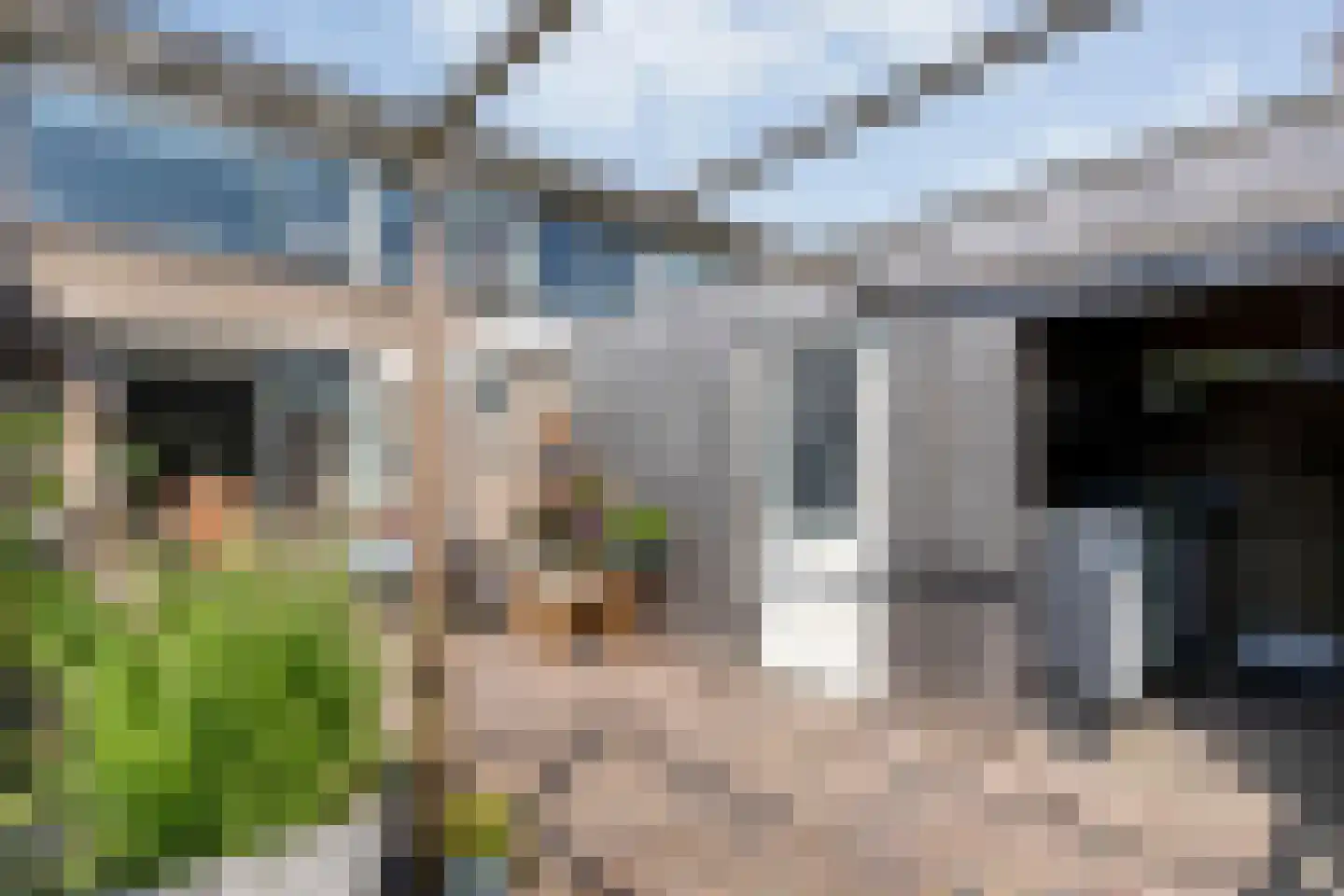 Jan Vermeerstraat 45 Meppel thumbnail 38