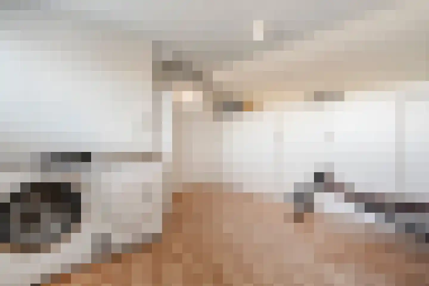 Jan Vermeerstraat 5 Meppel thumbnail 32