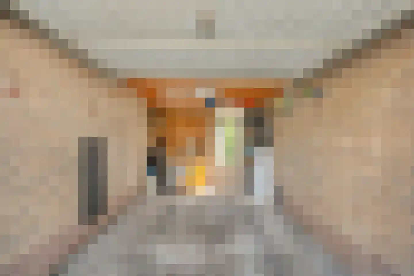 Jan Vermeerstraat 5 Meppel thumbnail 42