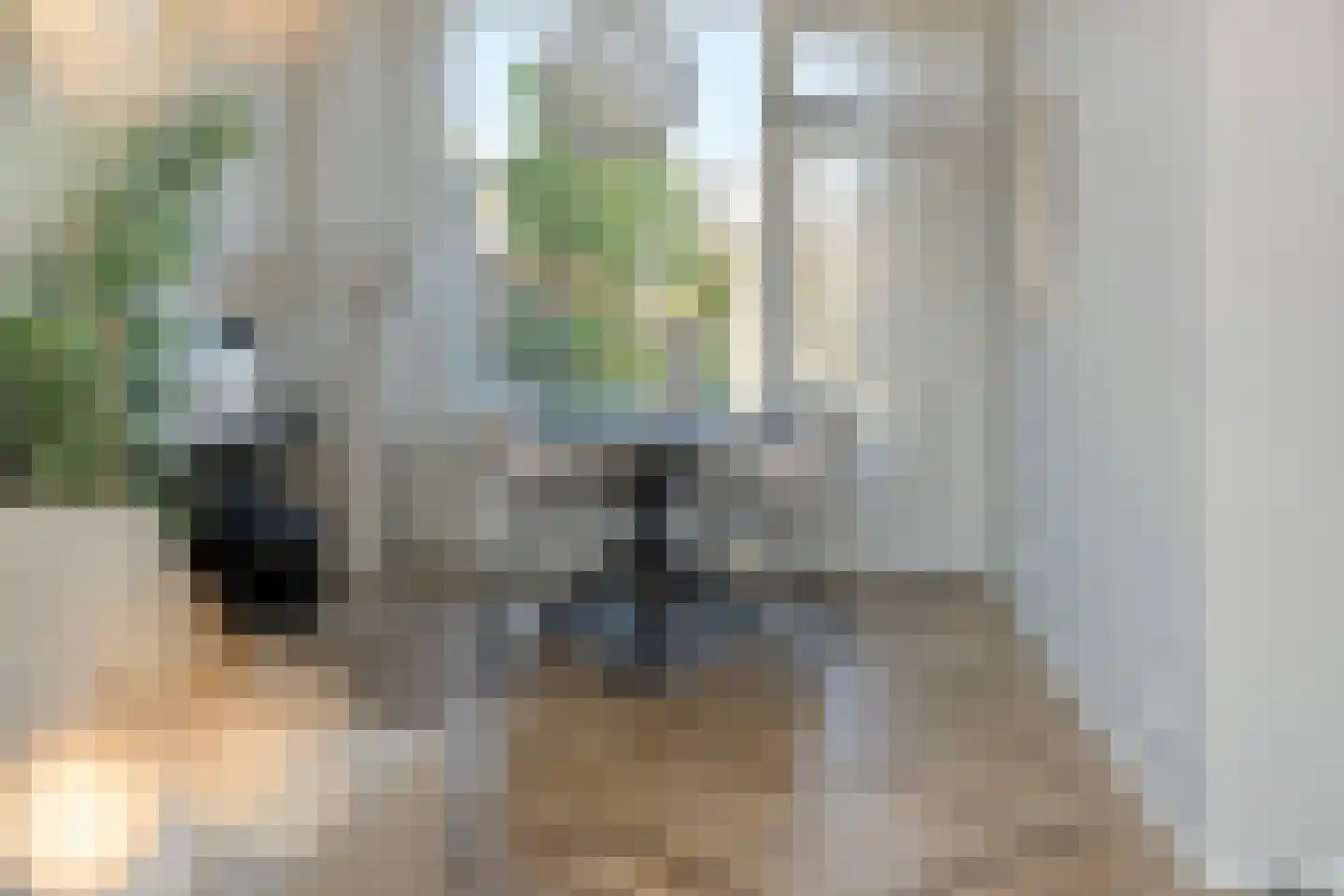 Jan Vermeerstraat 5 Meppel thumbnail 7