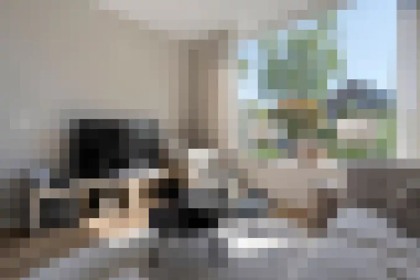 Jan Vermeerstraat 5 Meppel thumbnail 9