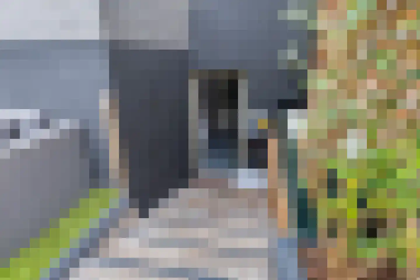 Jan Vermeerstraat 5 Zutphen thumbnail 25