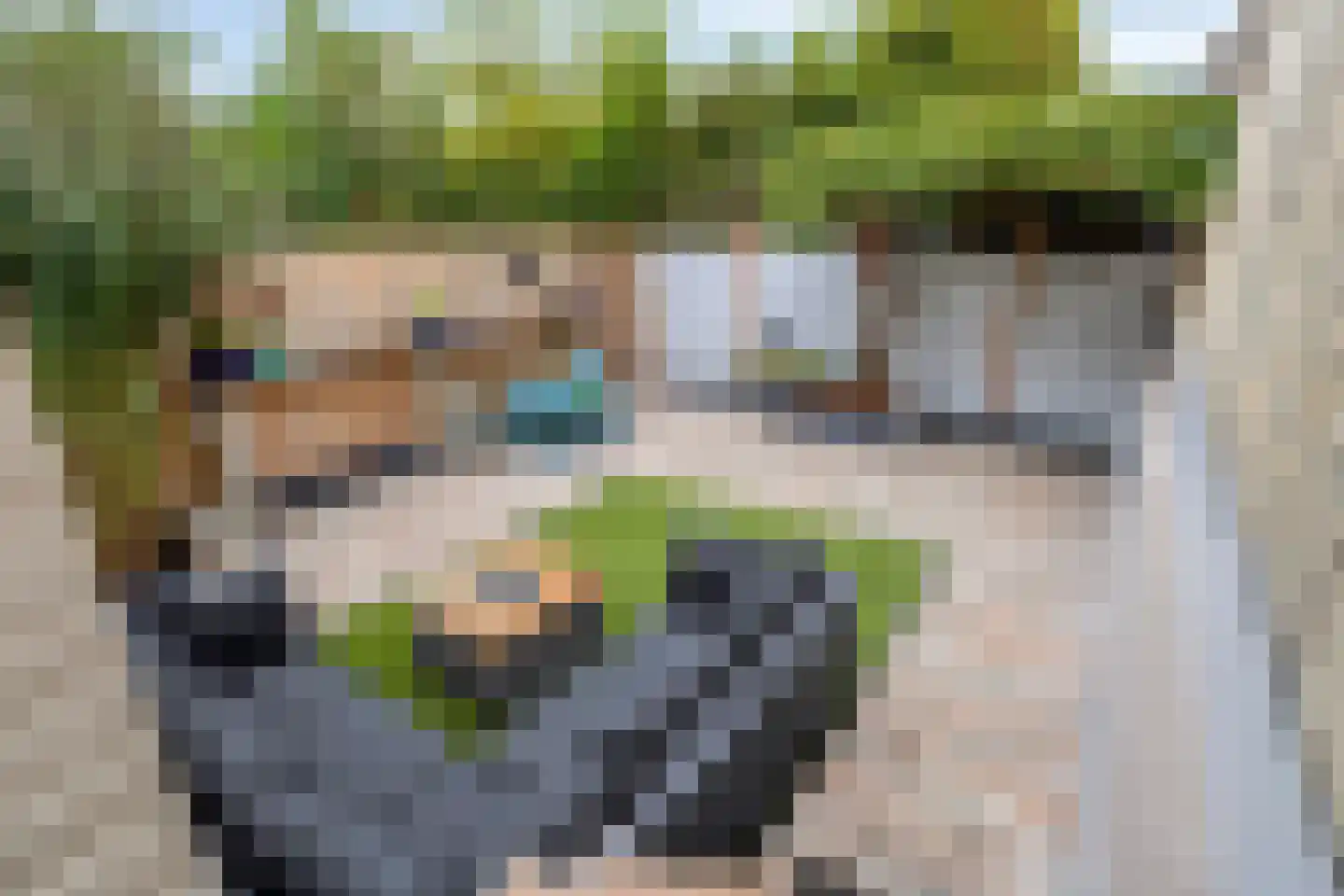 Jan Vermeerstraat 5 Zutphen thumbnail 5