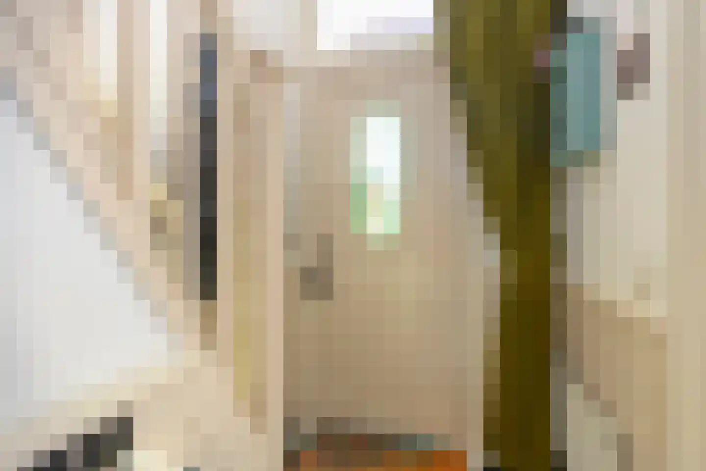 Jan Vermeerstraat 5 Zutphen thumbnail 6