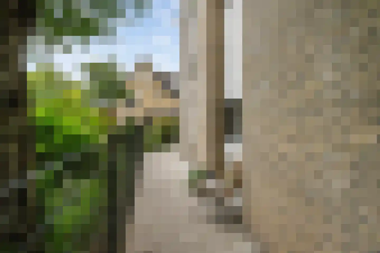 Jan Verrijt 16 Monster thumbnail 11