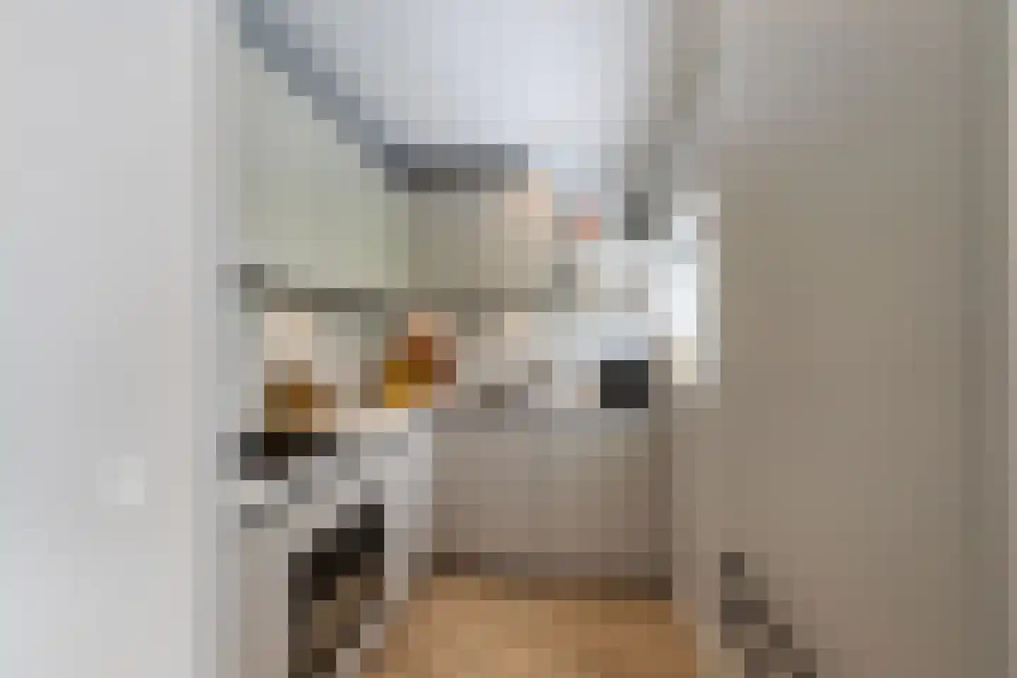 Jan Verrijt 16 Monster thumbnail 13