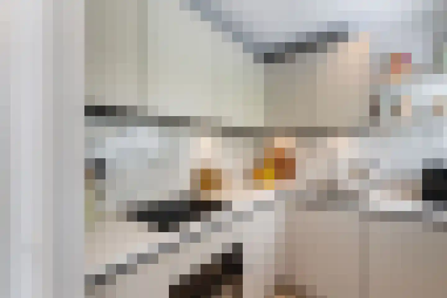 Jan Verrijt 16 Monster thumbnail 14