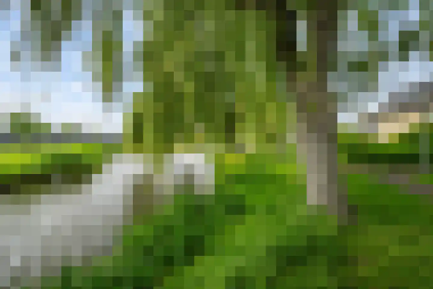 Jan Verrijt 16 Monster thumbnail 29