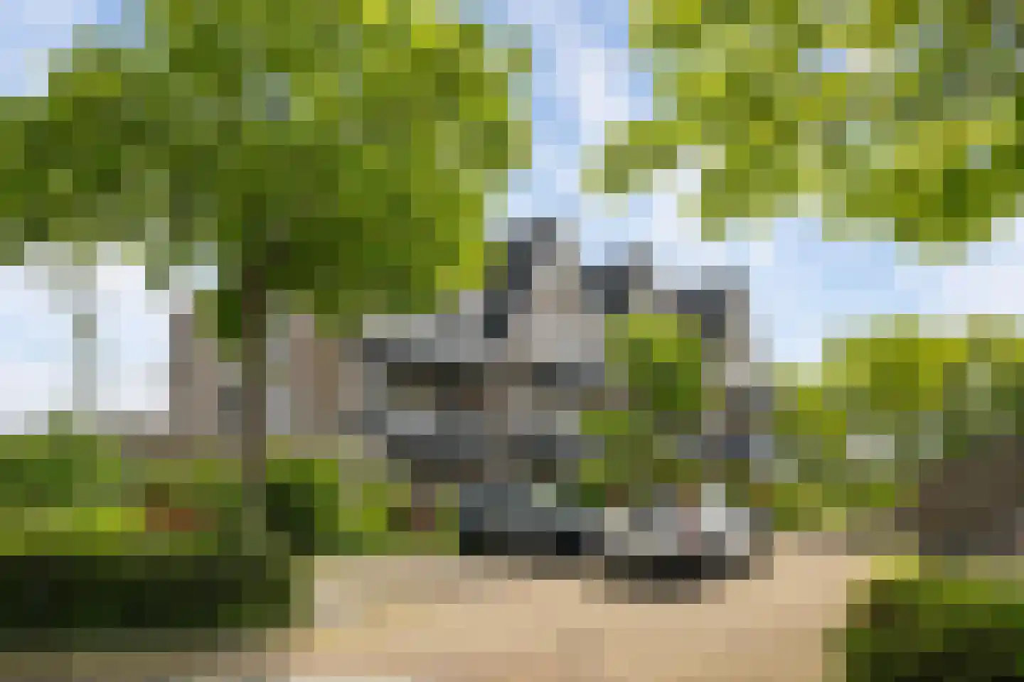Jan Verrijt 16 Monster thumbnail 31