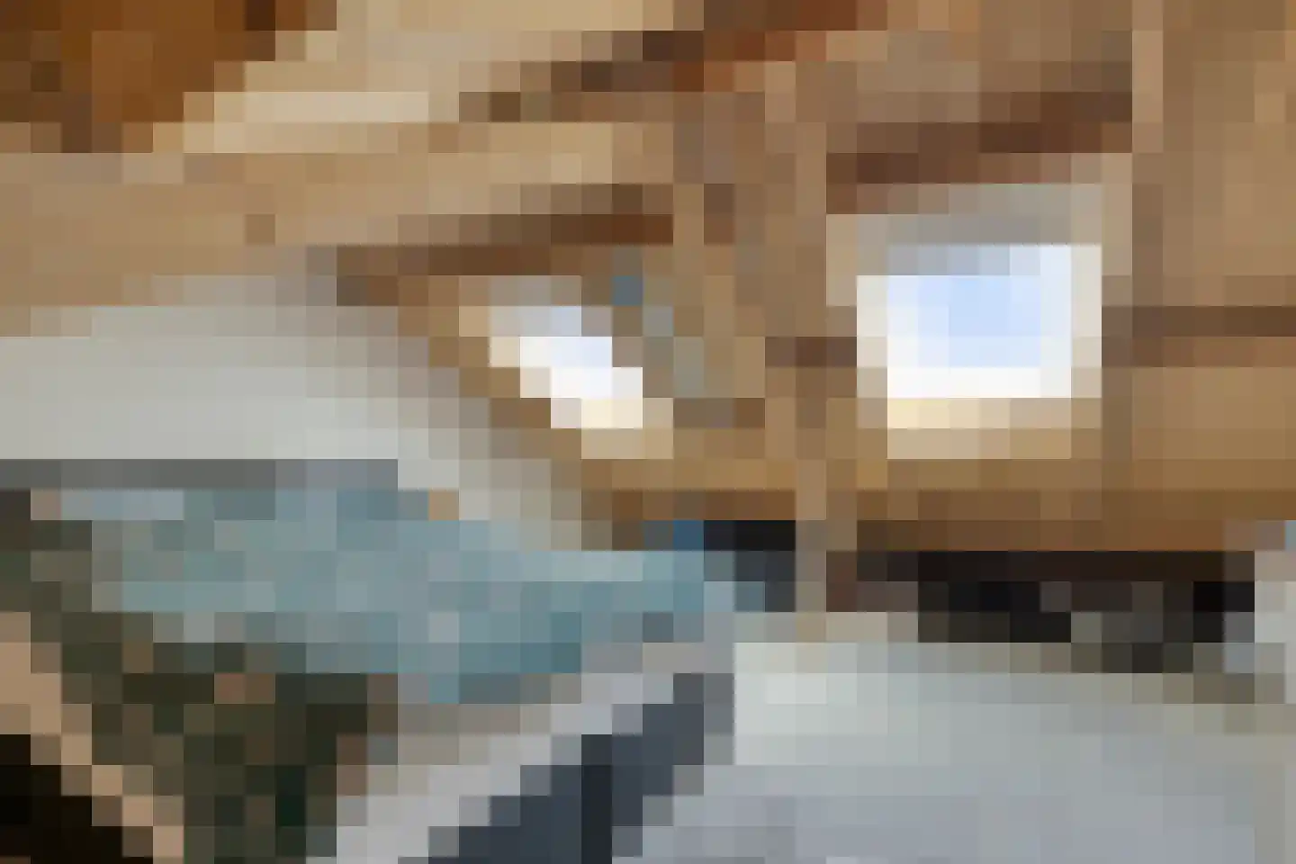 Jan Verschurensingel 75 Velden thumbnail 33