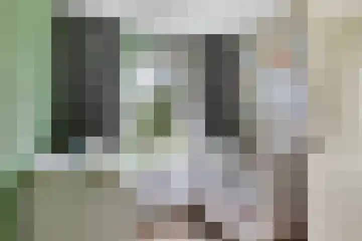 Jan Vethkade 15 Dordrecht thumbnail 14