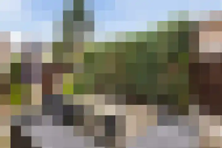 Jan Vethkade 15 Dordrecht thumbnail 25
