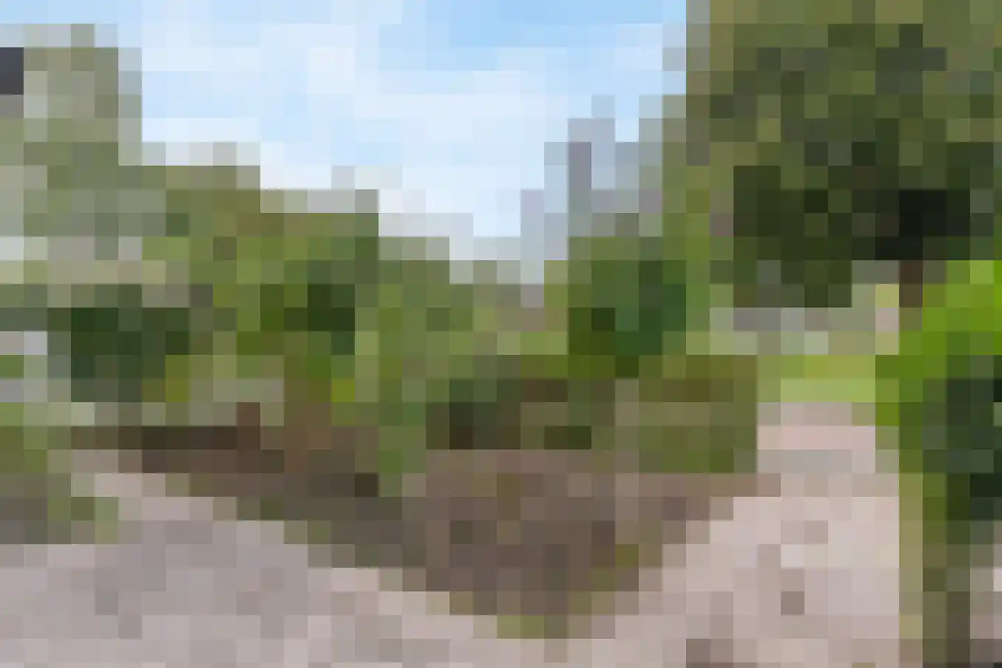 Jan Vethkade 62 Dordrecht thumbnail 37