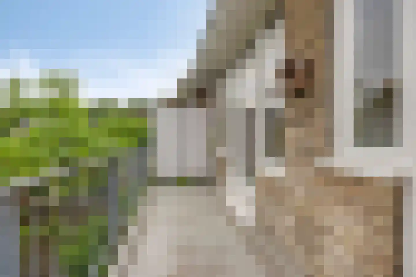 Jan Vethstraat 12 Arnhem thumbnail 27