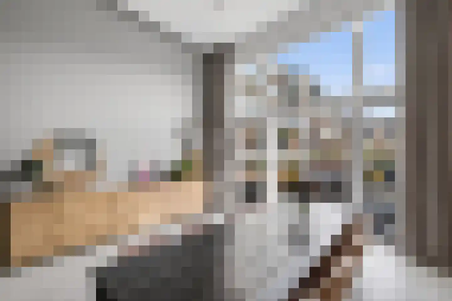 Jan Vethstraat 26 Amsterdam thumbnail 12