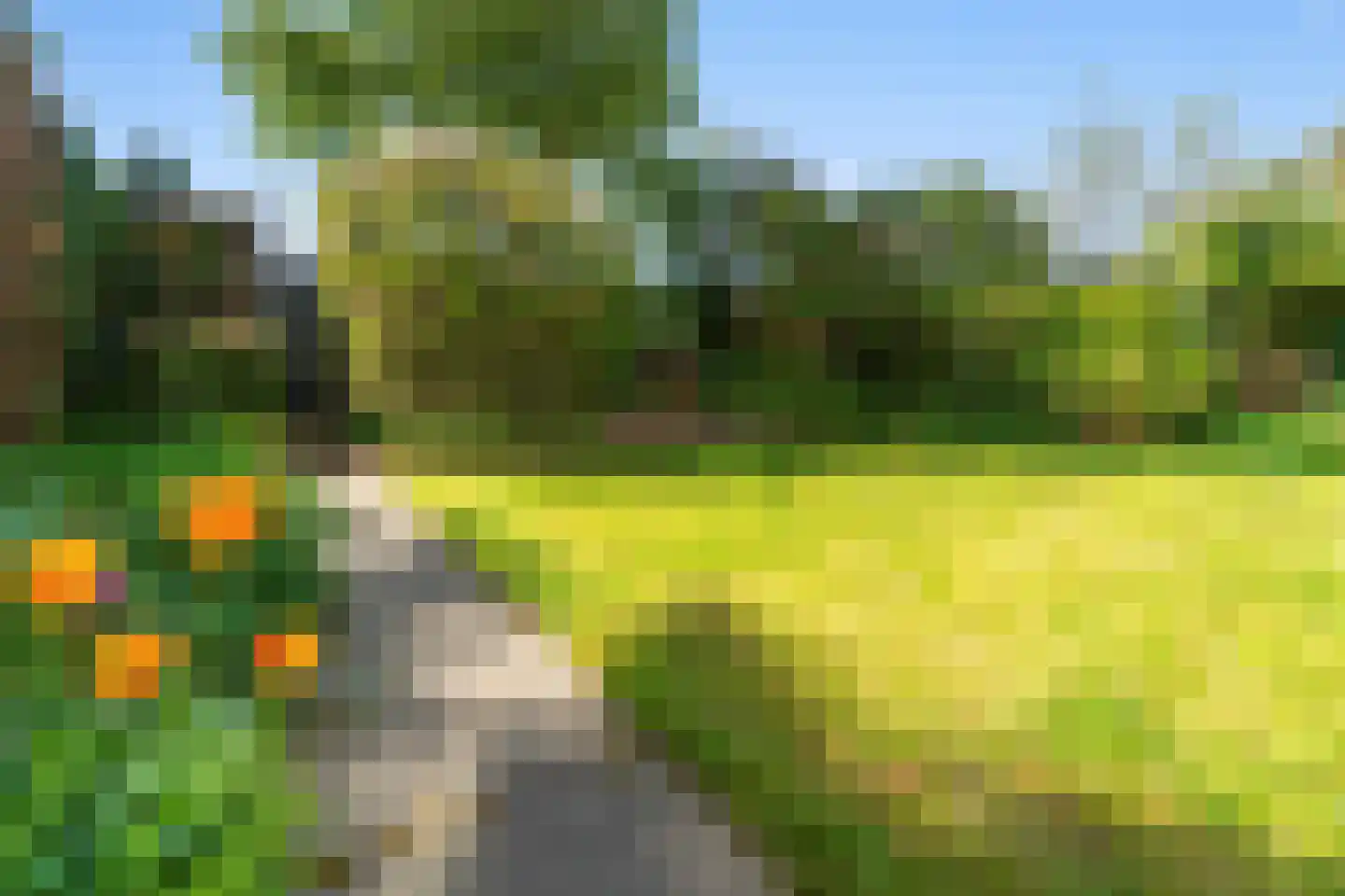 Jan Vethstraat 53 Arnhem thumbnail 16
