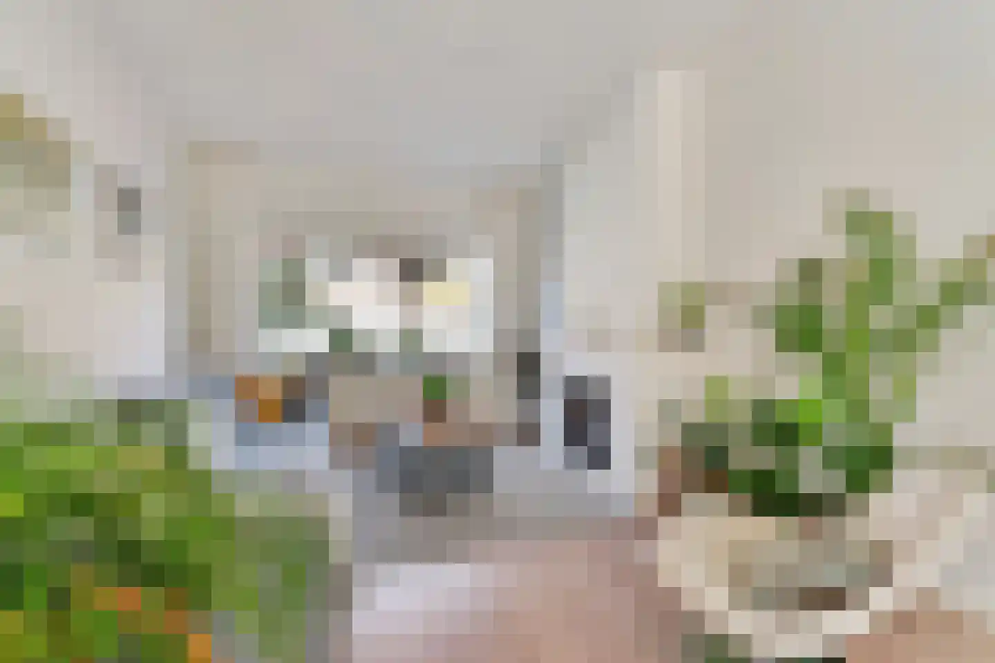 Jan Vethstraat 53 Arnhem thumbnail 6