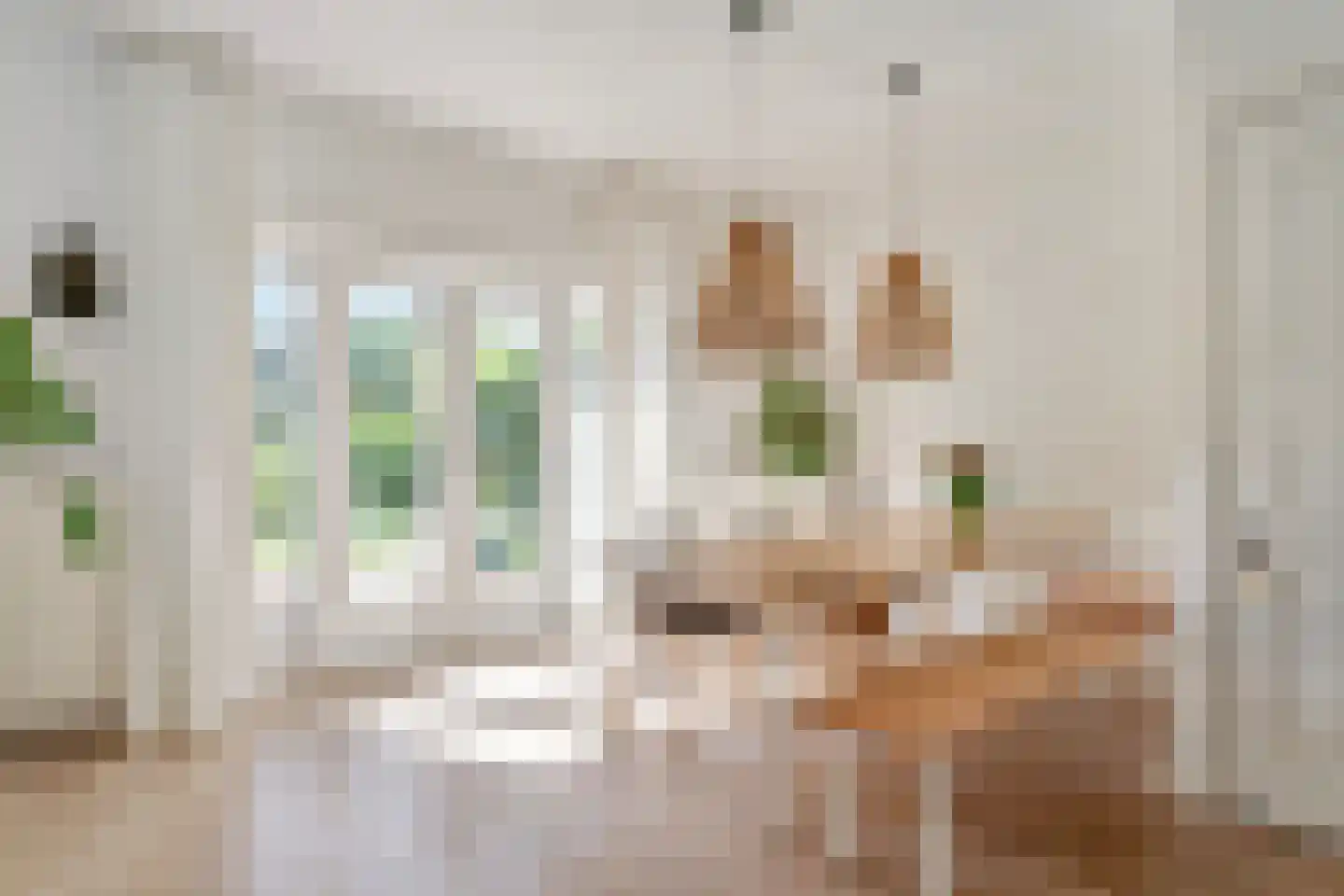 Jan Vethstraat 53 Arnhem thumbnail 8
