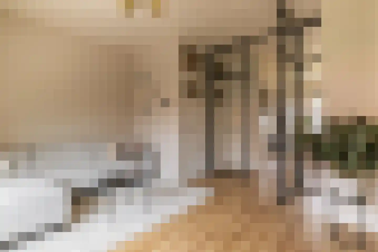Jan Vethstraat 54 Arnhem thumbnail 8