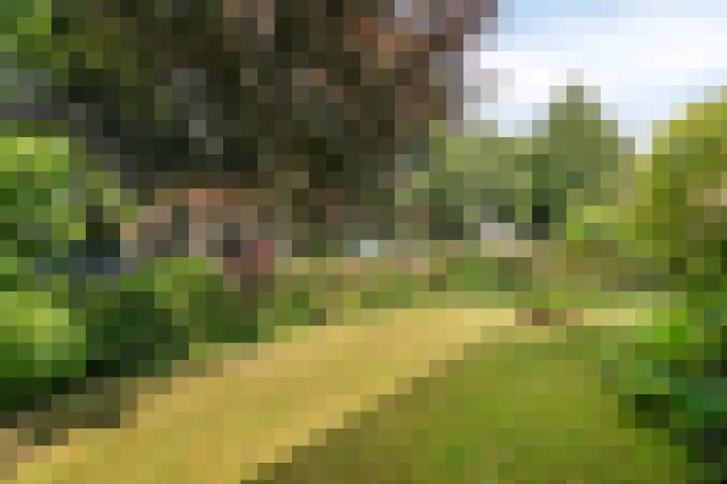 Jan Vethstraat 75 Arnhem thumbnail 4