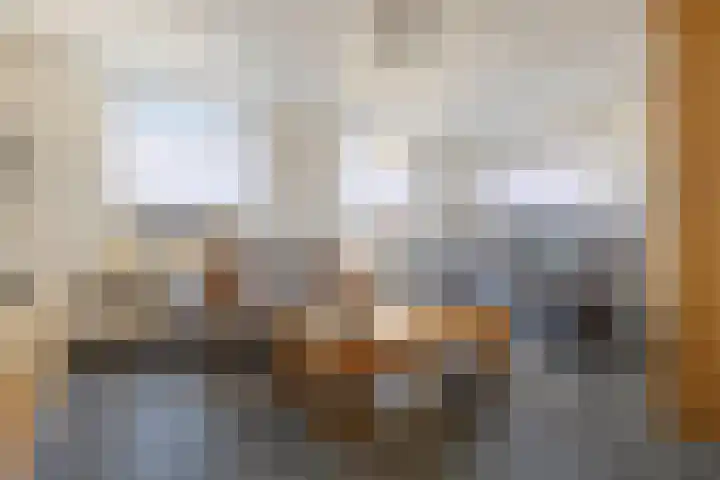 Jan Visserhof 10 A Helmond thumbnail 12