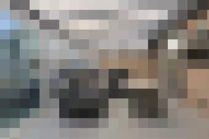 Jan Visserhof 10 A Helmond thumbnail 38