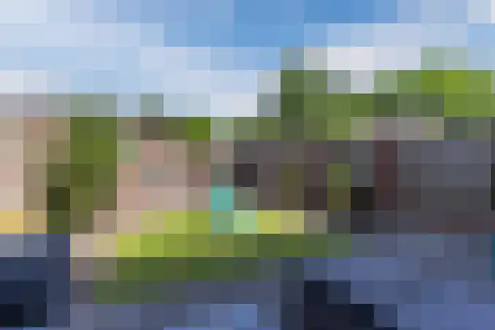 Jan Vlekkestraat 16 Valkenswaard thumbnail 5