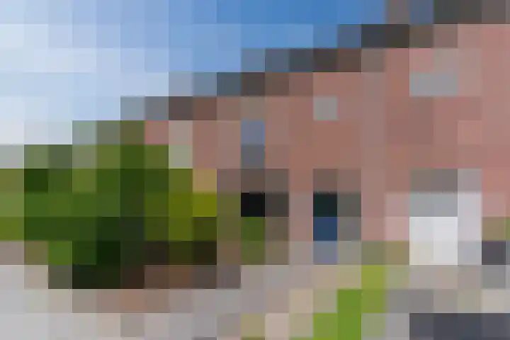 Jan Vlekkestraat 16 Valkenswaard thumbnail 6