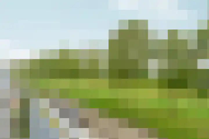 Jan Voermanstraat 23 Almere thumbnail 47