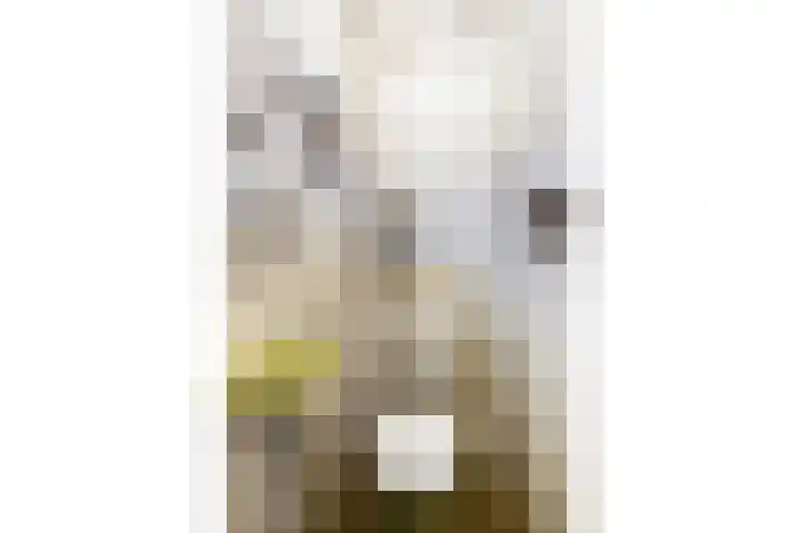 Jan Voermanstraat 4 Woerden thumbnail 7