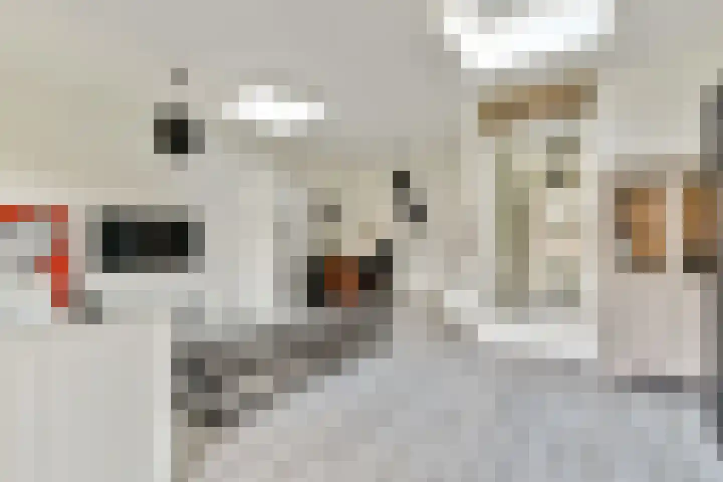 Jan Vrijmanstraat 209 Amsterdam thumbnail 34