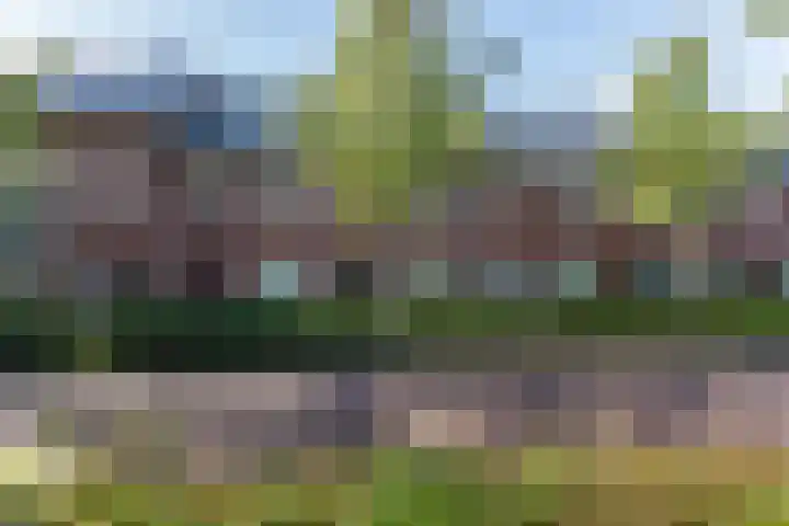 Jan Wagenaarlaan 37 Leusden thumbnail 29