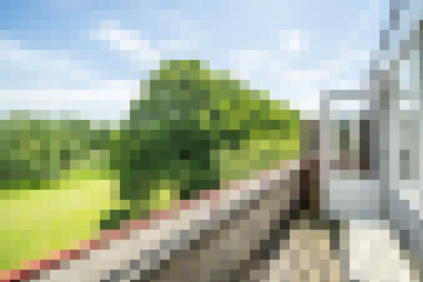 Jan Wagtendonkstraat 24 Voorschoten thumbnail 9