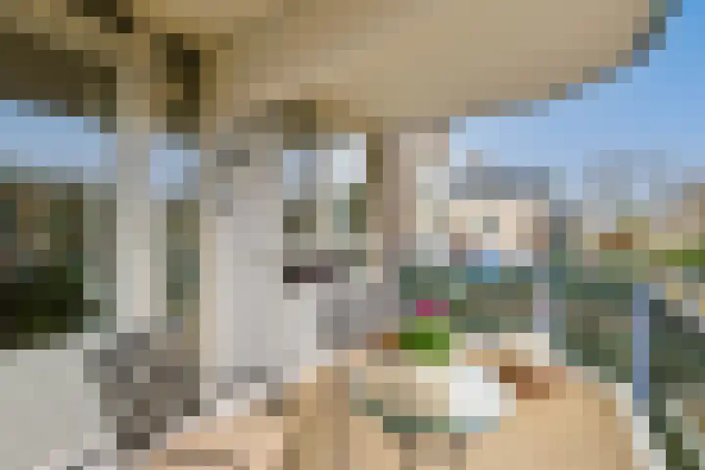 Jan Wagtendonkstraat 64 Voorschoten thumbnail 4