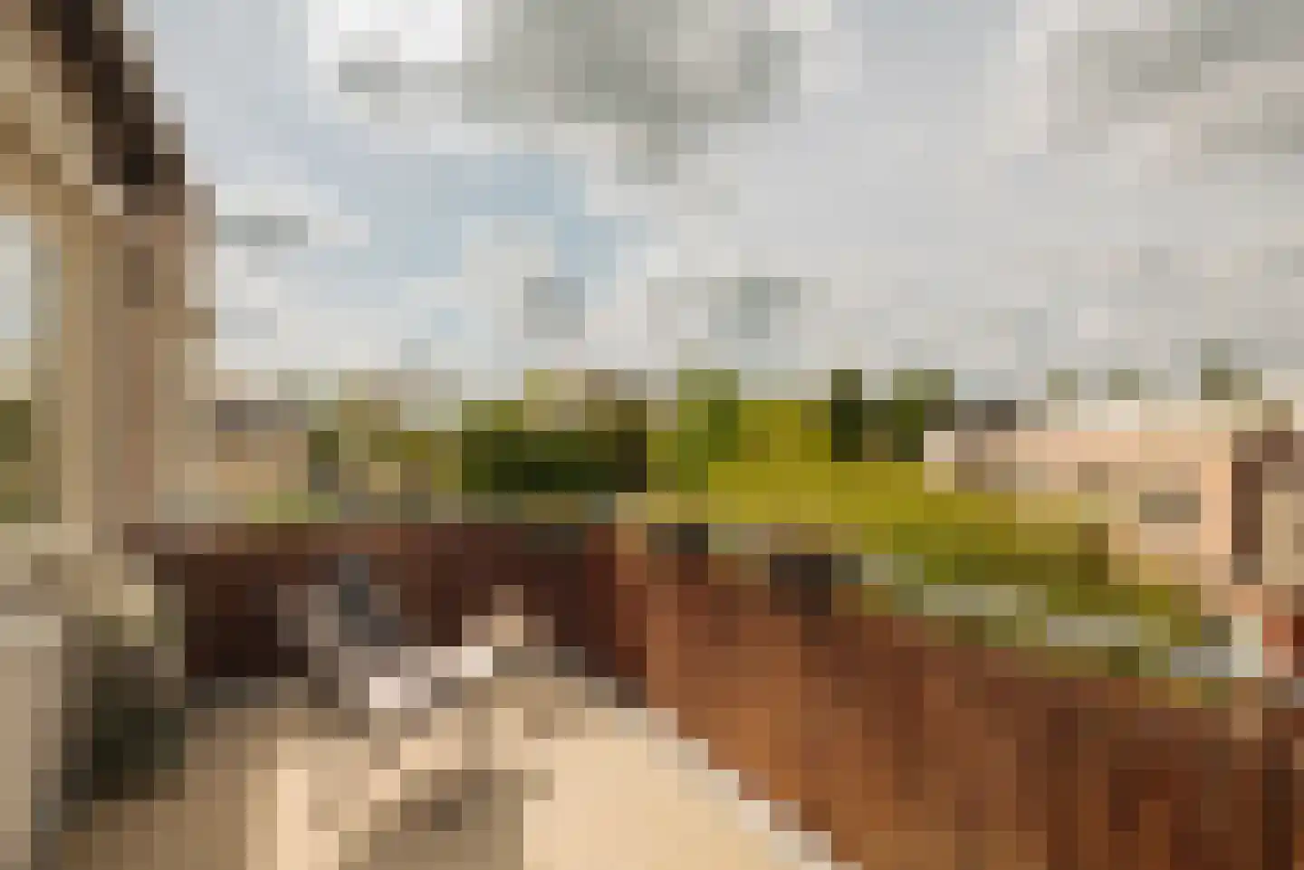 Jan Wagtendonkstraat 68 Voorschoten thumbnail 7