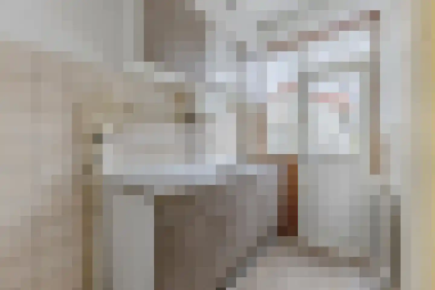 Jan Walichszstraat 18 Zaandam thumbnail 5