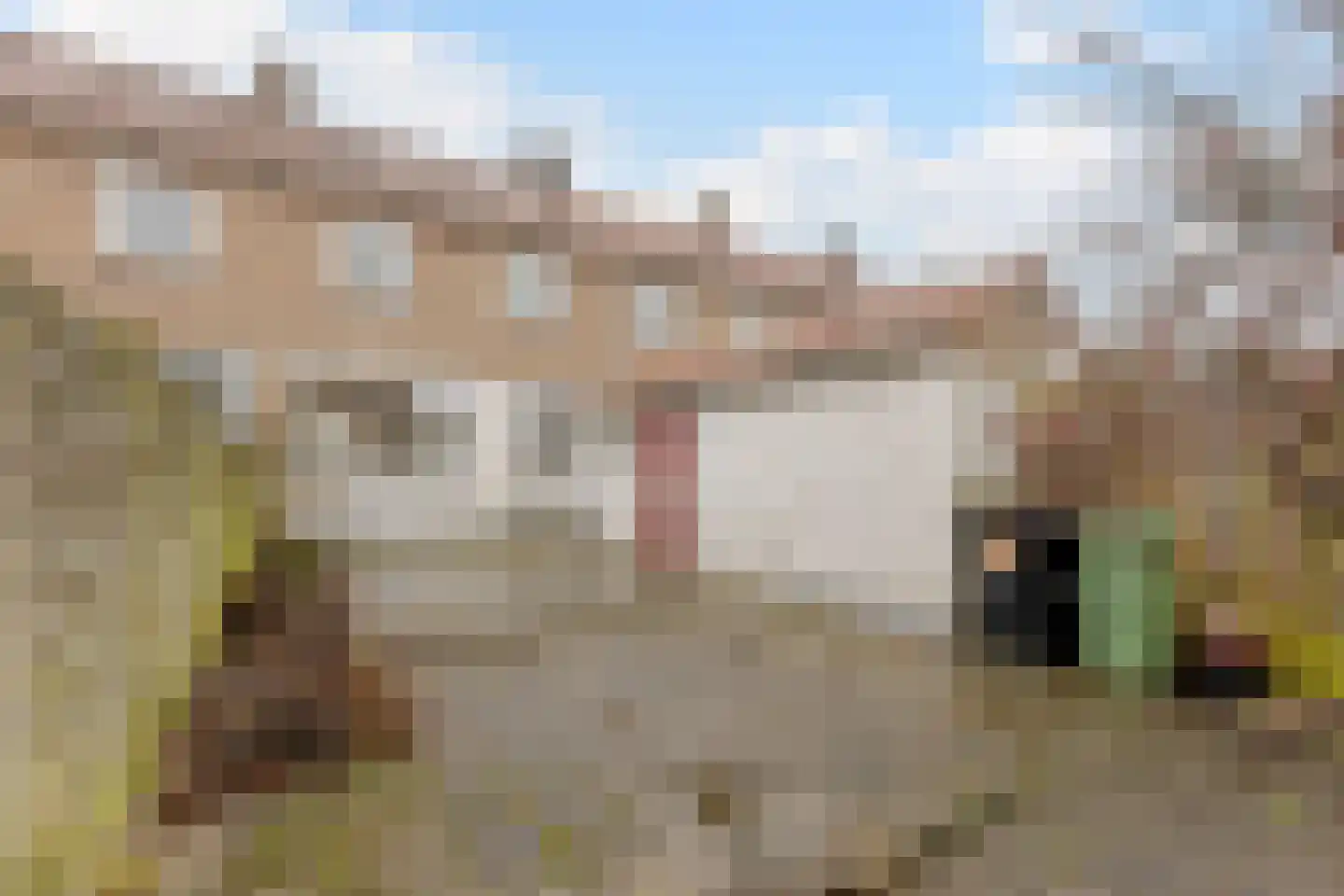 Jan Walichszstraat 18 Zaandam thumbnail 6