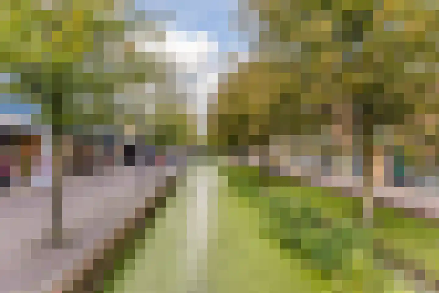 Jan Walichszstraat 3 Zaandam thumbnail 20