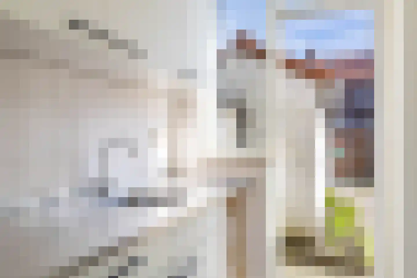 Jan Walichszstraat 6 Zaandam thumbnail 5