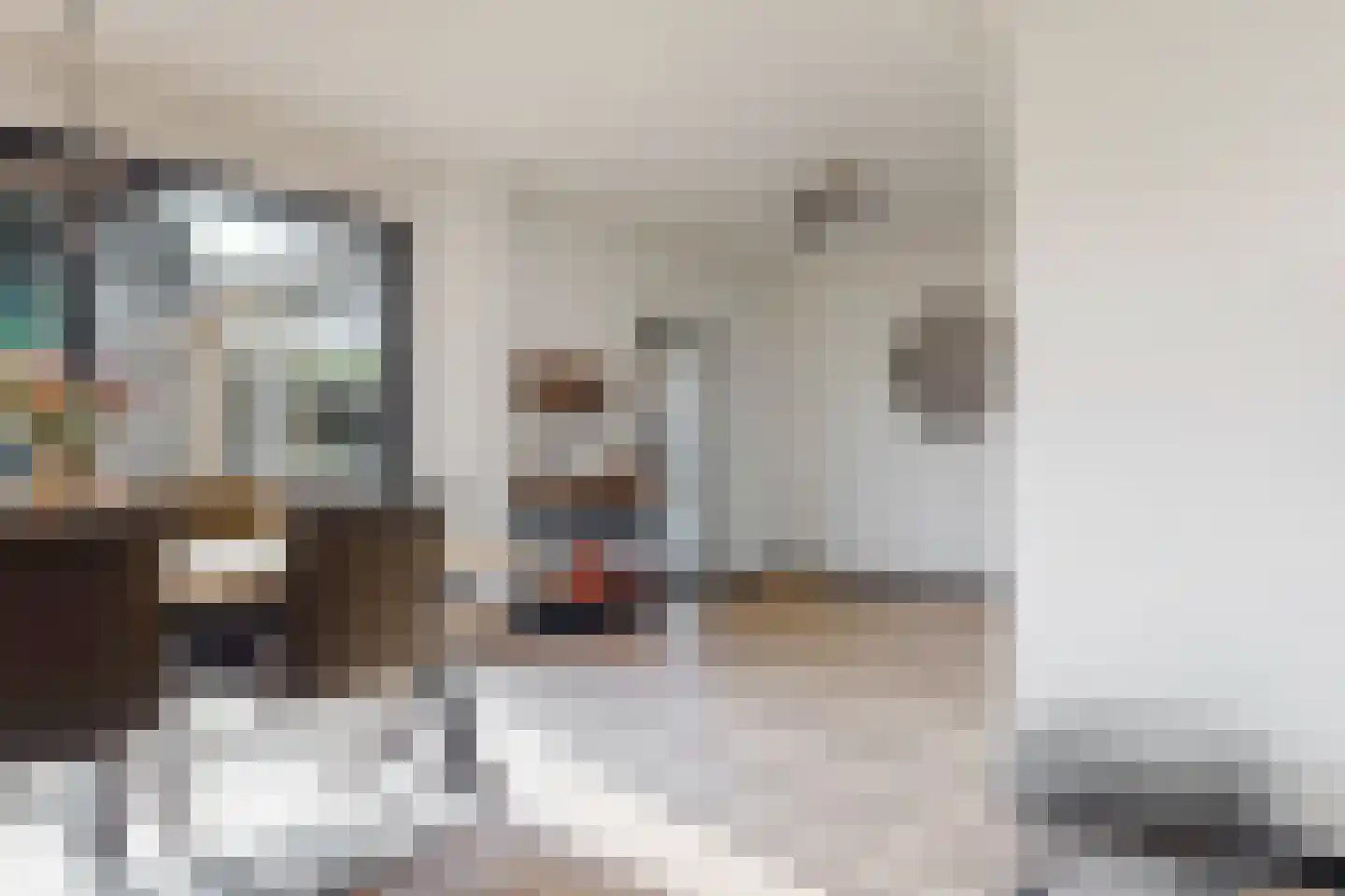 Jan Walravenstraat 6 Beneden-Leeuwen thumbnail 13
