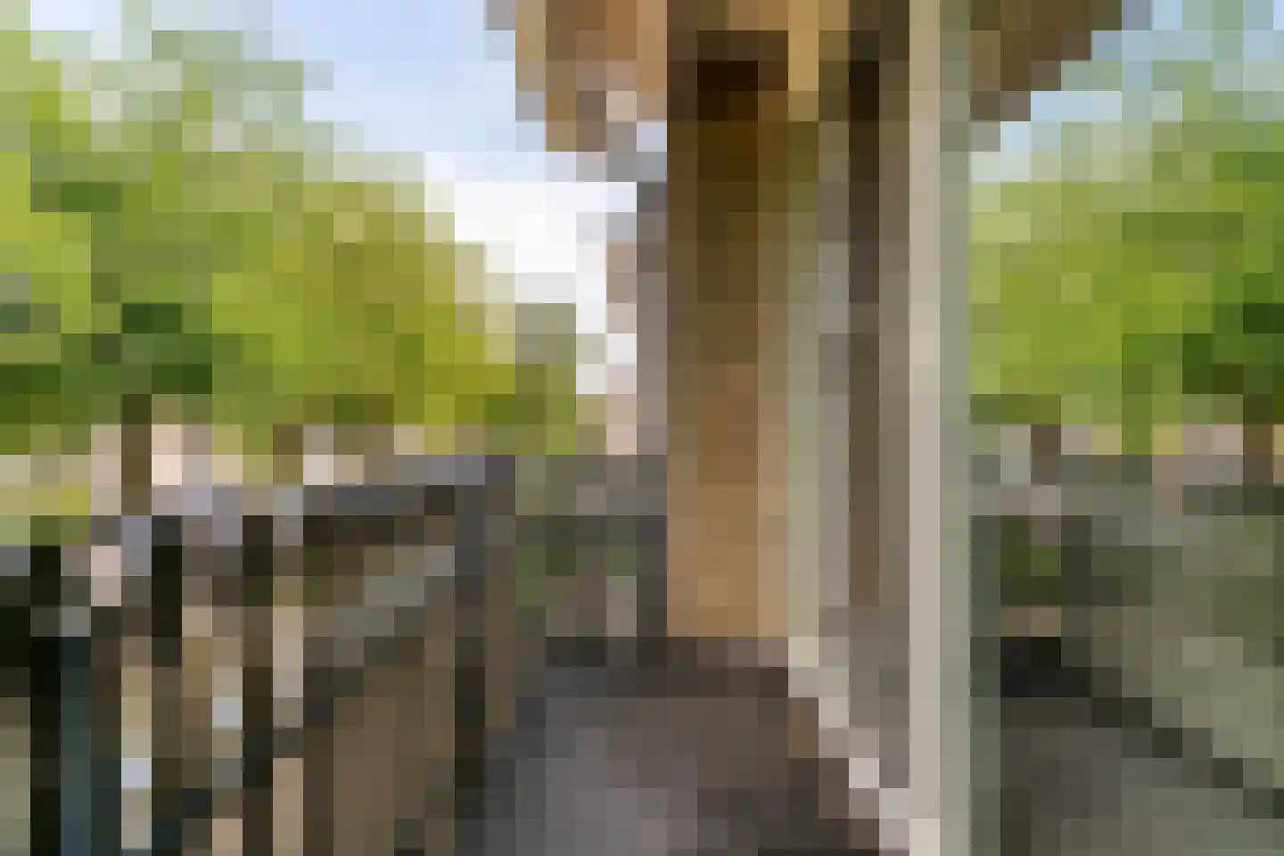 Jan Walravenstraat 6 Beneden-Leeuwen thumbnail 26