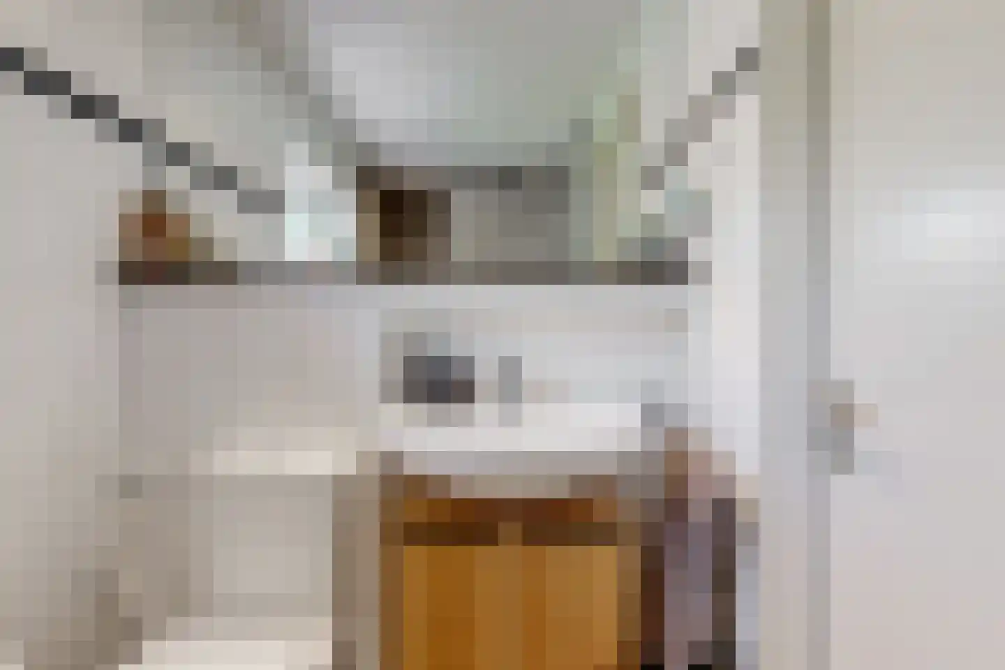 Jan Walravenstraat 6 Beneden-Leeuwen thumbnail 32