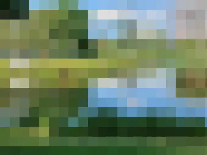 Jan Wandelaarpad 4 Zaandam thumbnail 34